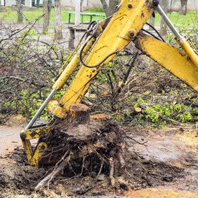 Удаление корней деревьев