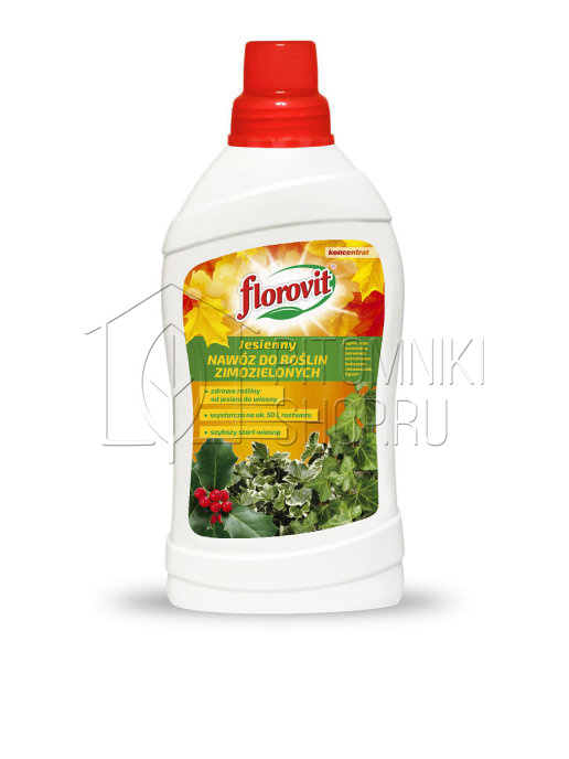 Удобрение Florovit жидкое осеннее для вечнозелёных 1 л